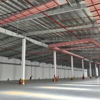 Bán Xưởng 4000M² Long An, Đức Hoà Hạ - Gần Kcn, Biệt Thự Nội Khu,