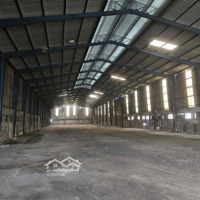 Cho Thuê Xưởng Mtdiện Tích2.000M2 Đường Container,Pccc Vách Tường