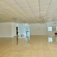 Cho Thuê Xưởng - Diện Tích 289M²