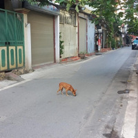 Bán Nhà Riêng Tại Đường Tứ Liên, Tây Hồ, Hà Nội Giá Tốt