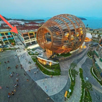 Em Nguyệt Nha Trang Cần Bán Căn Shophouse Libera Nha Trang Vị Trí Cạnh Nhà Hát Đó Giá Siêu Hời.