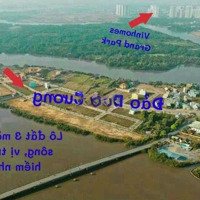 Bán Đất Nền Tại Đảo Kim Cương, Quận 9 – Cơ Hội Đầu Tư Không Thể Bỏ Lỡ