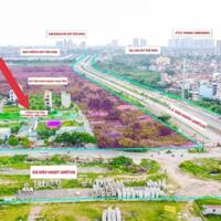 Bán Đất Dịch Vụ Vân Canh Khu 1.77ha. 48m2 Mặt Đường 12m cả vỉa hè View công viên cây xanh.