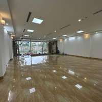 Tòa Nhà Vp Cầu Giấy 200M2, 9 Tầng Đầy Đủ Pccc, Có Hầm, Kd Sầm Uất, Hơn 100 Tỷ.