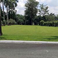 Bán đất Sân Golf Long Thành, Đồng Nai. DT: 1650m2 thổ cư. Giá: 18,2 Triệu/m2