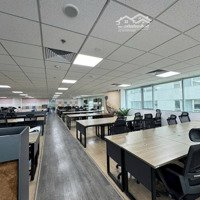 Cho Thuê Vp Tòa Star Tower Phố Dương Đình Nghệ, Cầu Giấy 60M2, 150M2,200,300,500600M2, 130K/M2