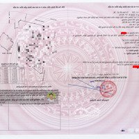 Chính Chủ Bán Căn Hộ Chung Cư The Pegasuite 1, 2 Phòng Ngủ 2 Vệ Sinh Có Nội Thất, Có Sổ, Công Chứng Trong Ngày