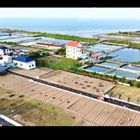 Đất View Mặt Biển Quất Lâm Giá Rẻ. Trục Chính Lên Thẳng Lên Bãi Tắm, Cạnh Khu Nghỉ Dưỡng Flamingo.