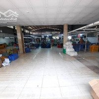 Chủ Gấp Bán Nhà Xưởng + Văn Phòng 1800M2 Đường Tam Bình .Giảm Mạnh 14 Tỷ Chỉ Còn 33 Tỷ