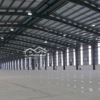 Kho Xưởng Dock Cont, Pccc Sprinkler, Sàn Epoxy, 2000M2 Đến 50.000M2 Kcn Vsip Hải Phòng, 80Nghìn/M2