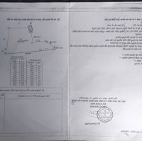 Bán Hơn 20 Hecta Đất Cao Su Đang Thu Hoạch Tại Ấp 4, Suối Ngô, Tân Châu, Tây Ninh