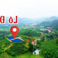 Tuyệt Phẩm Nghỉ Dưỡng, Homestay...có 102 Tọa Lạc Tại Xã Khánh Thượng - Ba Vì - Hn. Diện Tích: 6900M2