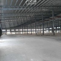 Cho Thuê Kho Xưởng 2400M2; 3300M2; 8000M2 Trong Kcn Nhơn Trạch