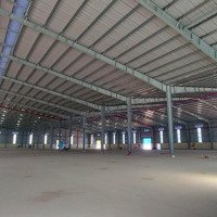 Cho Thuê Kho Diện Tích 3000M2; 5000M2; 10000M2; 30000M2 Giá Tốt Trong Kcn Phú Mỹ, Bà Rịa Vũng Tàu