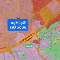 Bán Đất Mặt Đường Bãi Dài, Đi 200M Ra Đl Thăng Long Giáp Xanh Villa Cách Đại Học Quốc Gia 1,2Km