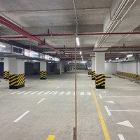 Chủ Nhà Cho Thuê Căn Hộ 3 Phòng Ngủdiện Tích 100M2 Chung Cư Bình Minh Garden