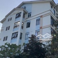 Căn Hộ Chung Cư An Hòa 2 40M2 1 Phòng Ngủkhu Dân Cư Nam Long Quận 7