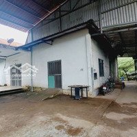 Cho Thuê Xưởng Mới 1800M2 Phước Tân, Biên Hòa, Đồng Nai