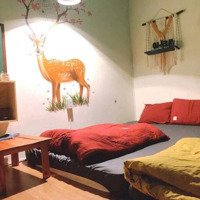 Bán Homestay Đang Kinh Doanh Đặng Thái Thân, P.3, Đà Lạt 11.5 Tỷ