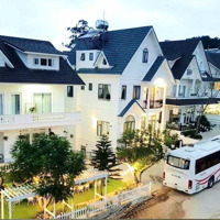 Bán Villa Đường Mai Anh Đào - Cách Hồ Xuân Hương Chỉ 2Km - 375M2