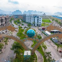 Quỹ Căn Độc Quyền Tại Safabay - Green Dragon City Quảng Ninh