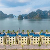 Quỹ Căn Độc Quyền Tại Safabay - Green Dragon City Quảng Ninh