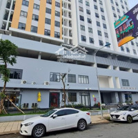 Chính Chủ Bán Gấp Căn Hộ Marina Tower - Vĩnh Phú, Thuận An Vào Ở Ngay, 3 Phòng Ngủ Sổ Sẵn Giá Rẻ