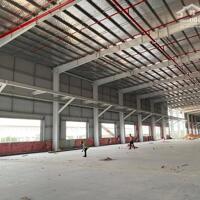 Cho Thuê Kho Xưởng Mới 5000M2, 8000M2, 12.000M2 Kcn Long Hậu, Long Hậu, Cần Giuộc, Long An