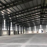 Cho Thuê Kho Xưởng Mới 5000M2, 8000M2, 12.000M2 Kcn Long Hậu, Long Hậu, Cần Giuộc, Long An