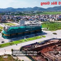 Bán Gấp Lô 84M Giá Rẻ Hướng Đn Mặt Tiền 6M Tại Dự Án Mascity Đẹp Nhất Bắc Giang.