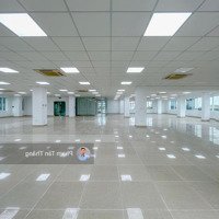 Cho Thuê 550M2 Sàn Tầng 5 Tại Tòa Nhà Tổ Hợp, Trung Tâm Quận Hồng Bàng, Phù Hợp Rất Nhiều Mô Hình