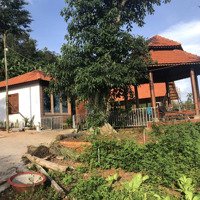 Chính Chủ Cần Bán Gấp Đất Tặng Nhà (Kiểu Homestay), Mới 100% Xã Lang Minh - Xuân Lộc, Giá Bán 5,9 Tỷ