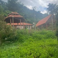 Chính Chủ Cần Bán Gấp Đất Tặng Nhà (Kiểu Homestay), Mới 100% Xã Lang Minh - Xuân Lộc, Giá Bán 5,9 Tỷ