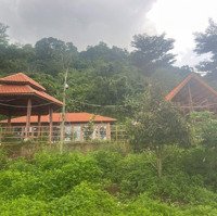 Chính Chủ Cần Bán Gấp Đất Tặng Nhà (Kiểu Homestay), Mới 100% Xã Lang Minh - Xuân Lộc, Giá Bán 5,9 Tỷ