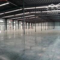 Cho Thuê Xưởng Trong Kcn Long Khánh,Diện Tíchtừ 2500M2 - 10000M2.