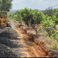 Ngang 20M Mặt Tiền Bám Đường, Có Vườn Cây Ăn Trái Trên Đất Sát Tp Đồng Xoài 190 Triệu