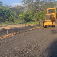 Ngang 20M Mặt Tiền Bám Đường, Có Vườn Cây Ăn Trái Trên Đất Sát Tp Đồng Xoài 190 Triệu