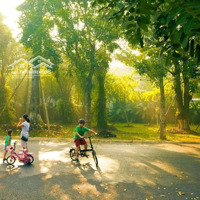 Chỉ Với 855 Triệu Sở Hữu Ngay Căn Hộ 2 Phòng Ngủfull Nội Thất Chung Cư Cao Cấp The Fibonan Eco Park