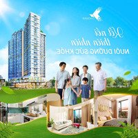 Bán Căn 1 Phòng Ngủ, Chiết Khấu Tiền Mặt 500 Tr Trực Tiếp Từ Chủ Đầu Tư