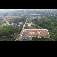 Hàng Siêu Hiếm Cho Các Anh Chị Đầu Tư 2160M2 Lô Góc Thôn Đô Lương Xã Bắc Sơn Sóc Sơn 0987785686