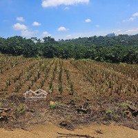 Ngân Hàng Thanh Lý Tài Sản (Chiết Khấu Ngay 15%)