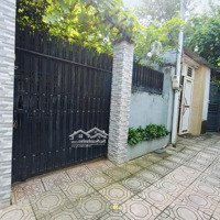 Bán Gấp Nhà Gần Công An Tỉnh Đồng Nai. Giá Bán 1Ty750/100M2 Đường Phạm Văn Thuận ( Nhà Sổ Chung)