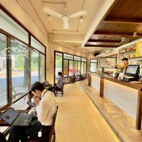 Bán Quán Cafe, Vp Phân Lô Giang Biên - Lô Góc 90M2X6 Tầng, Thang Máy - Dòng Tiền Cực Tốt Trên 200 Triệu