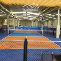 Cho Thuê 1000M 1500M 2500M Làm Sân Pickleball & Cầu Lông Nguyễn Xiển - Tân Triều Mới - Phạm Tu