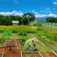 Siêu Phẩm La Ngà 1000M2, Giá Chỉ 989 Triệu, View Sông Núi, Nơi Lý Tưởng Để Đầu Tư Nghỉ Dưỡng