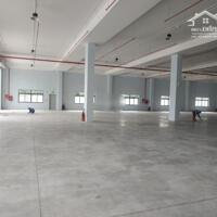 Cho thuê xưởng 9700m2 KCN Dệt May Bình An, TP Dĩ An, Bình Dương