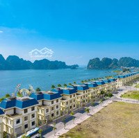 Bán Đất Nền Dự Án Tại Green Dragon City Giá Siêu Hời Chỉ 50 Triệu/M2
