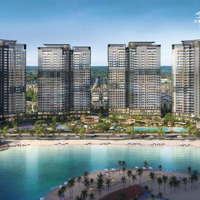 Căn 1Pn: 45.2M2 - Lumiere Spingbay - Hỗ Trợ Lãi Suất 80%