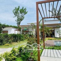 Siêu Hời Bán Đất Tặng Nhà Nhỏ 450M2 Đường 329, 1,75 Tỷ, Tặng Thiết Kế