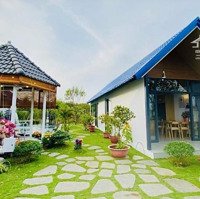 Siêu Hời Bán Đất Tặng Nhà Nhỏ 450M2 Đường 329, 1,75 Tỷ, Tặng Thiết Kế